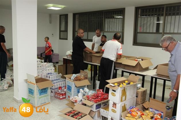 tard nema2 sjf (9).JPG